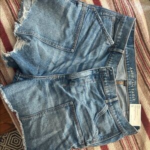 American Eagle Light Blue Stretch Shorts